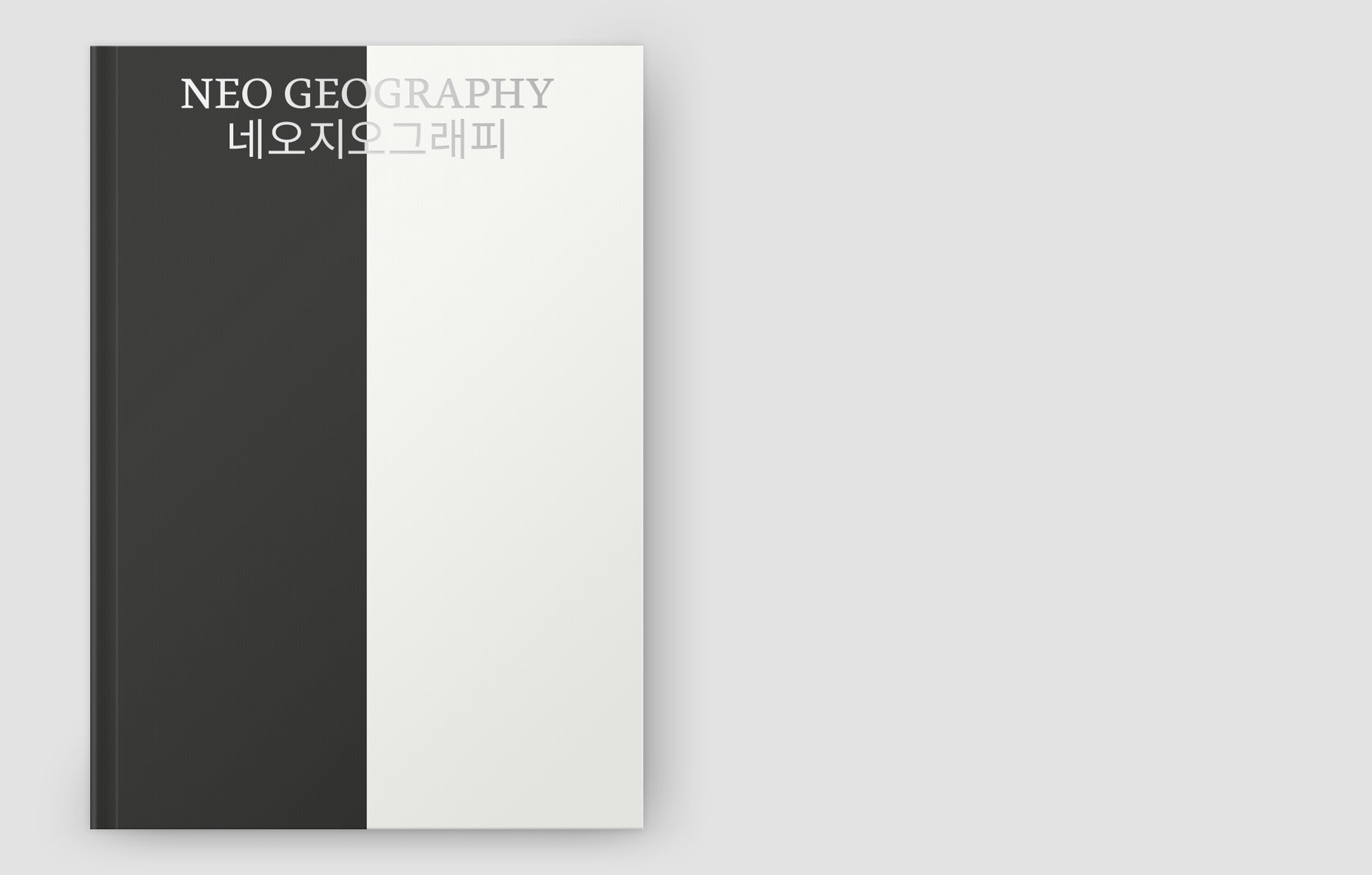 Neo Geography